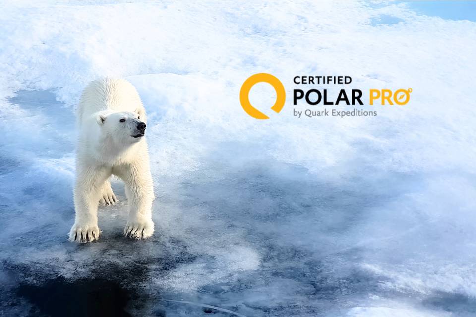 Polar Pro