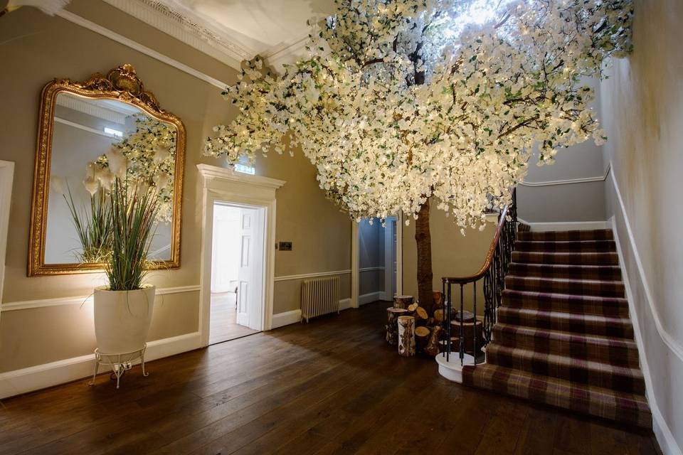 Indoor Blossom Tree