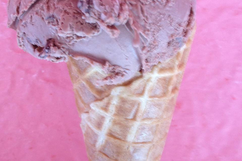 Amazing gelato ice cream elsie