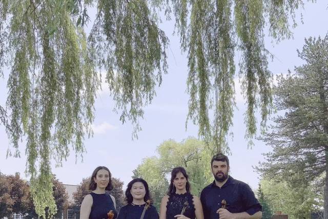 String quartet