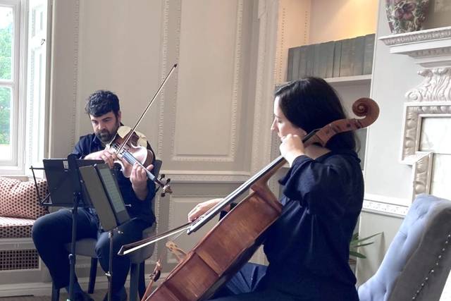 SE Strings Violin and Cello du