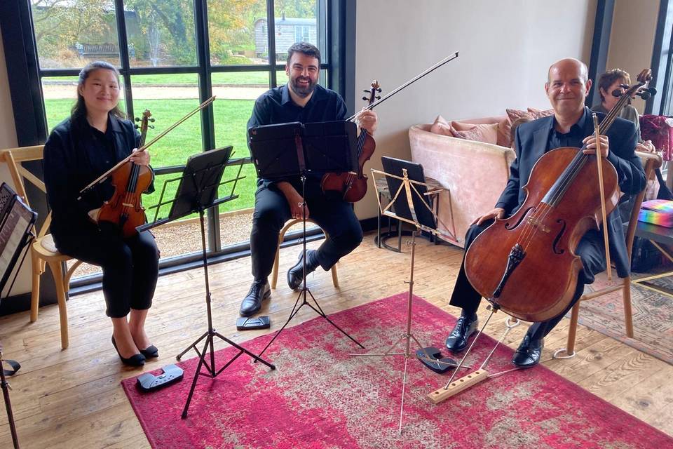 SE Strings trio