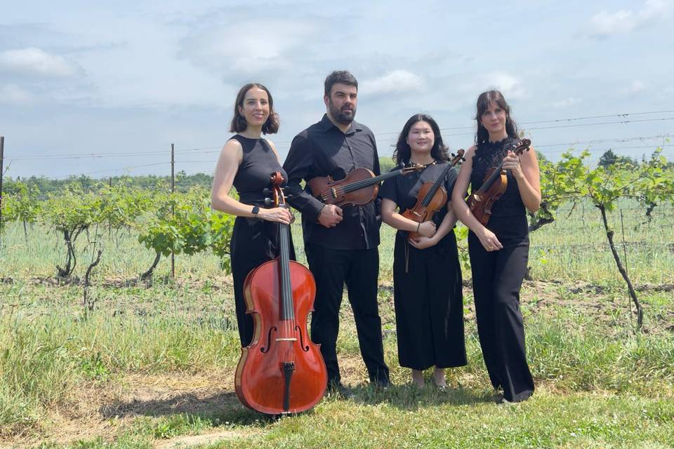 Vineyard Ceremony