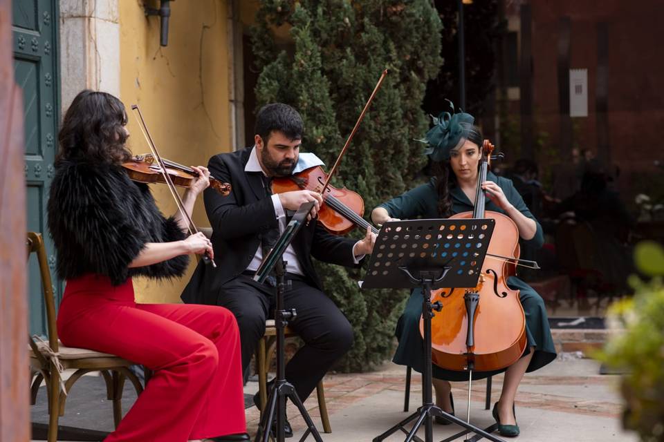 String trio wedding