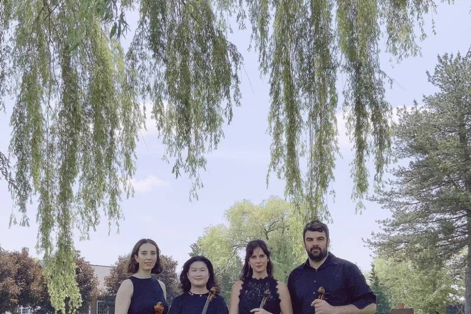 String quartet