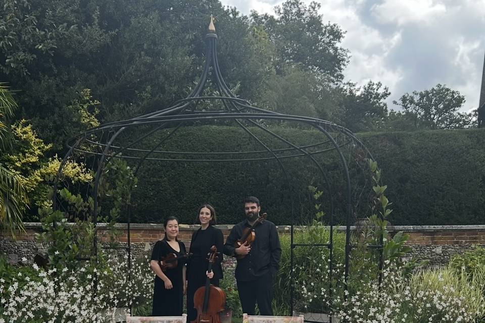 SE Strings Ltd