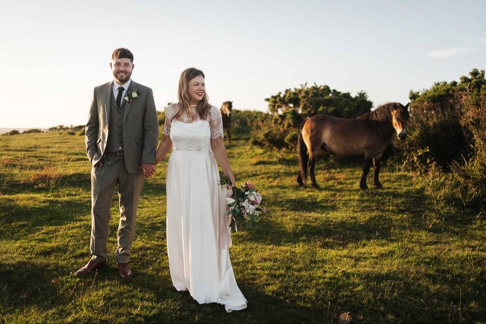 Horses at Golden hour