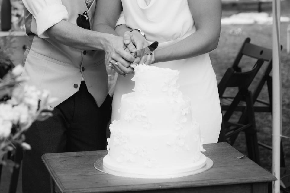 H+ R Cutting the Cake