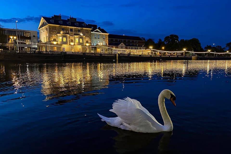 the swan hotel bedford valentines day