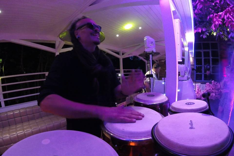Live - Purple