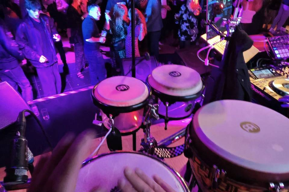 Live 1