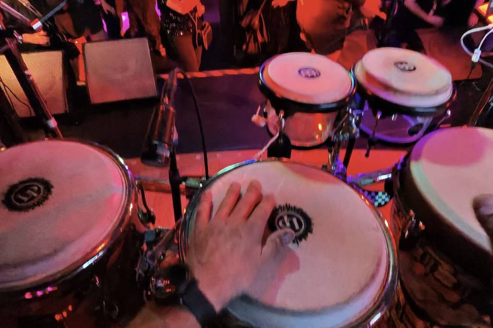 Live 2