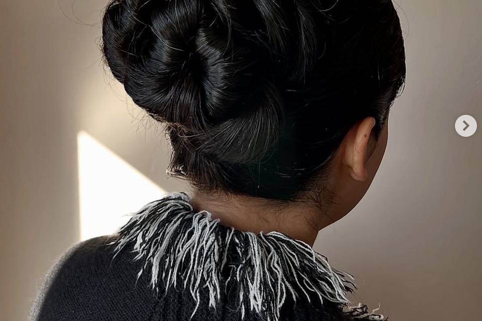 Elegant updo