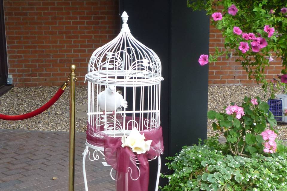 Wedding doves @ the mere country club