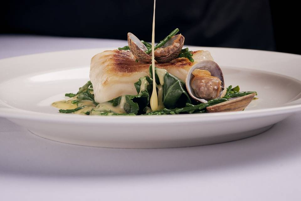 Fillet of Halibut