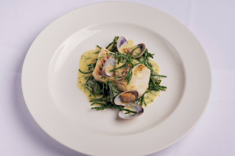 Fillet of Halibut