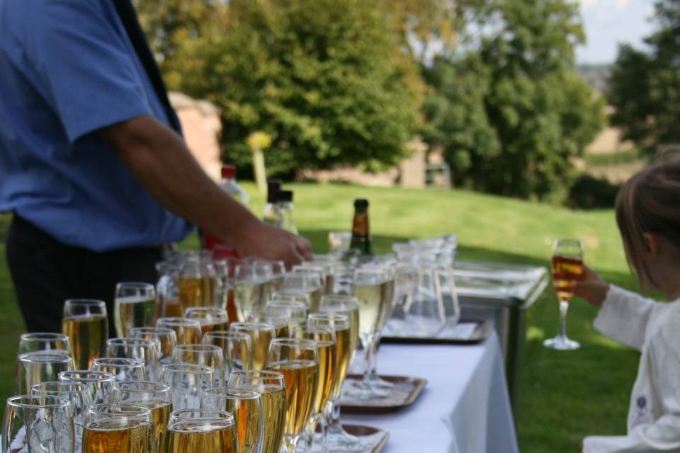 Bubbly on the lawn