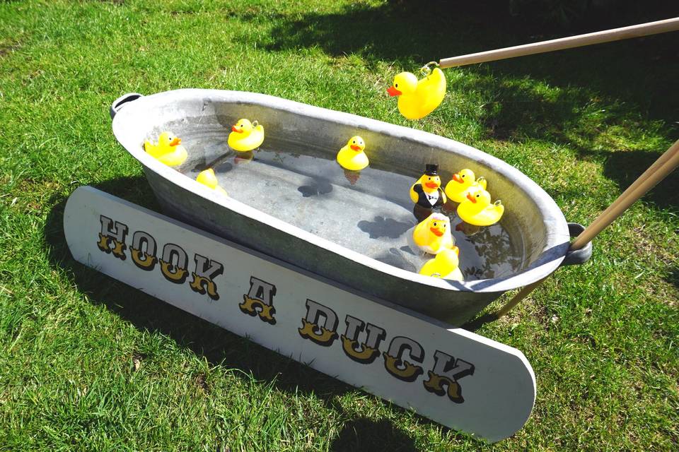 Hook a Duck game