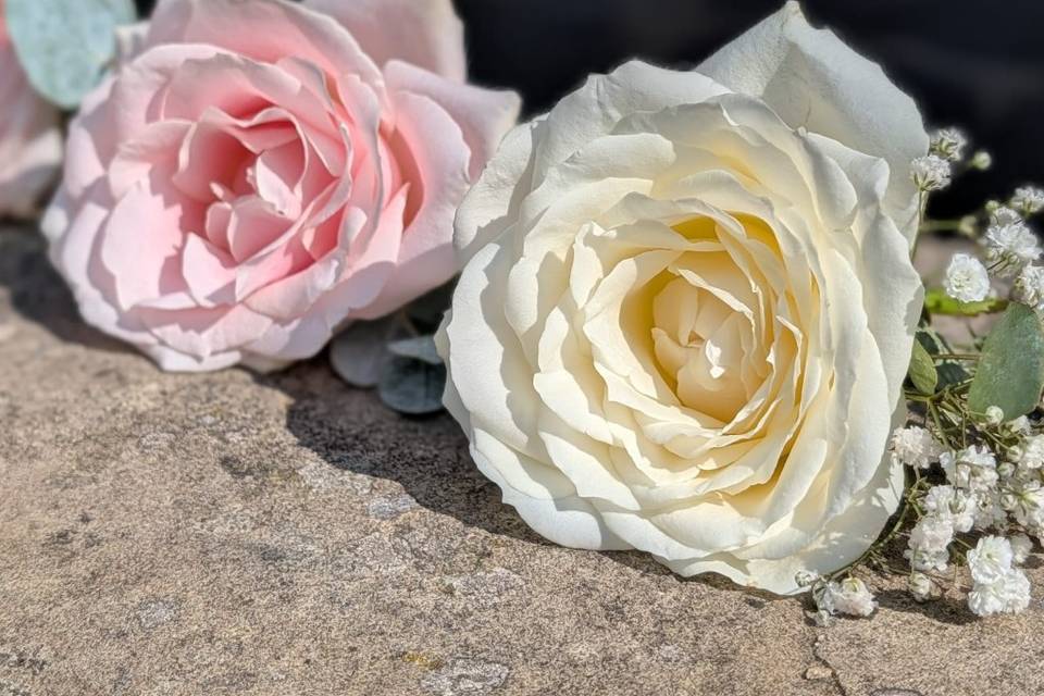 Buttonholes
