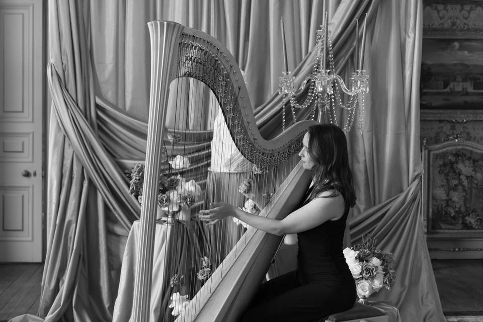 Elinor Harp