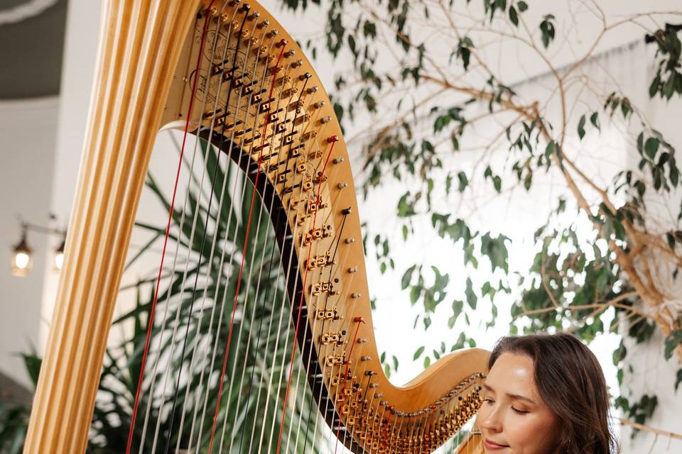 Elinor Harp