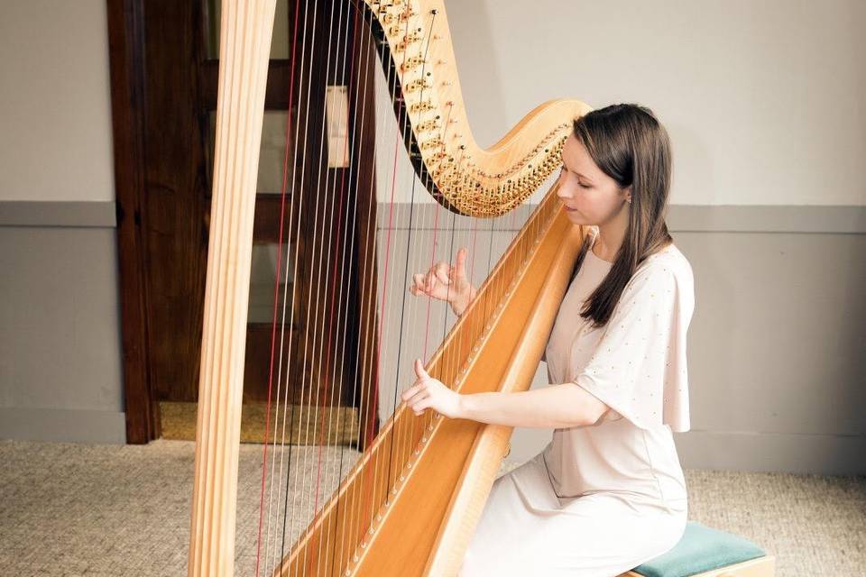 Elinor Harp