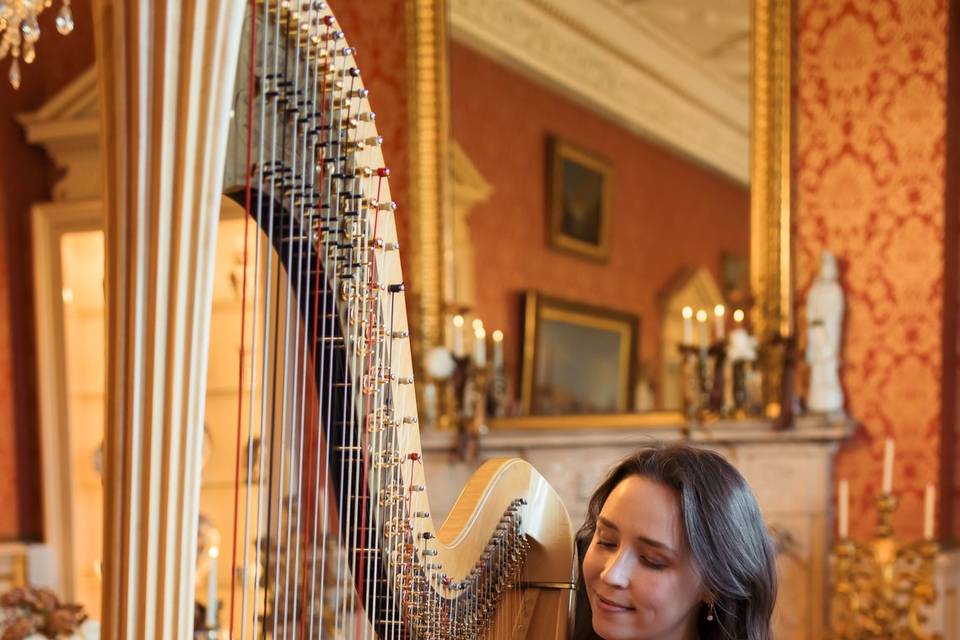 Elinor Harp