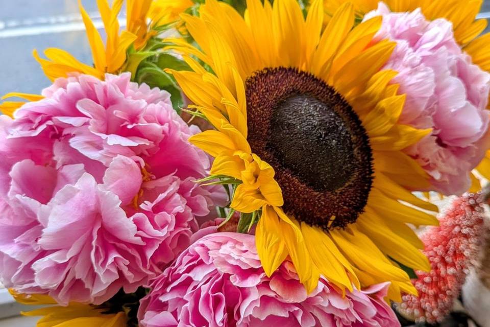 Peonies and Sunflowers