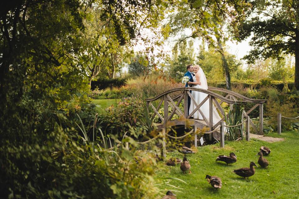The Ducks