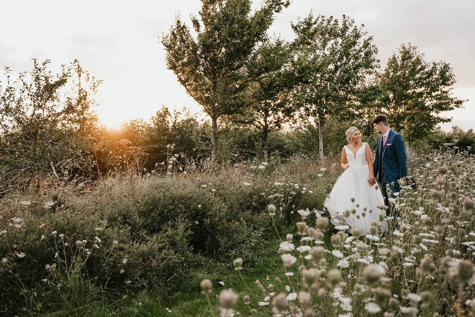 Flower Meadows