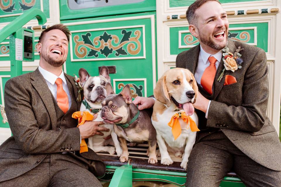 Grooms with their dogs