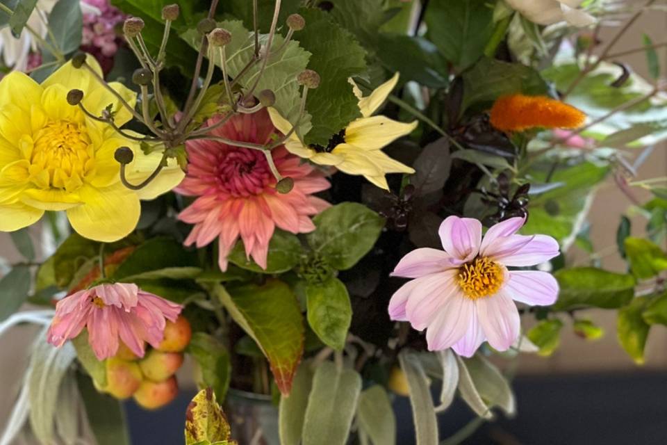 The local growers best of