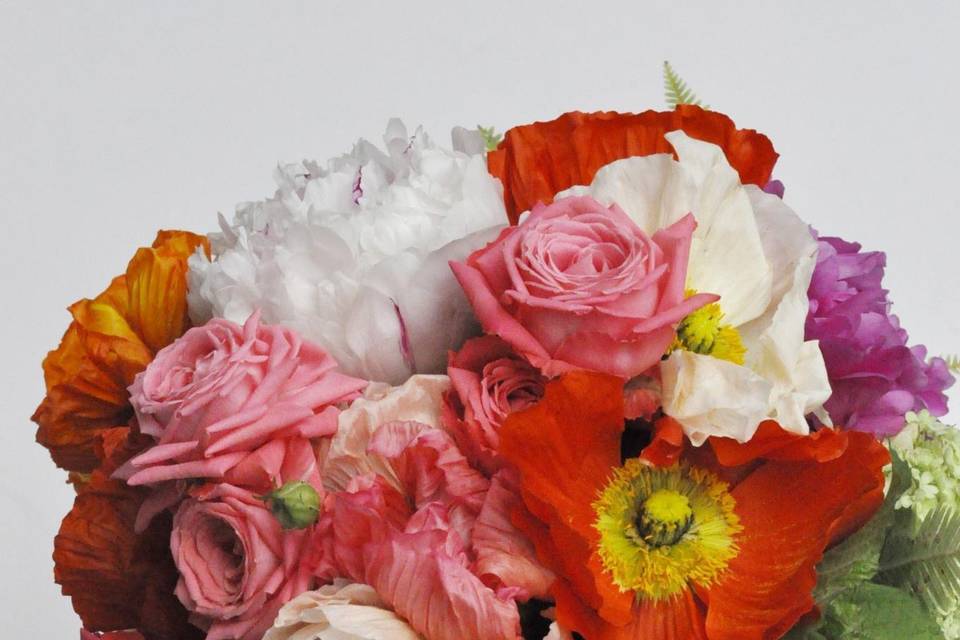 Old pictures from the roll