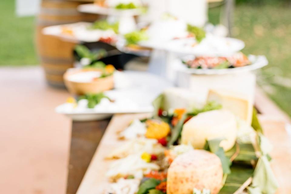 The garden and our food