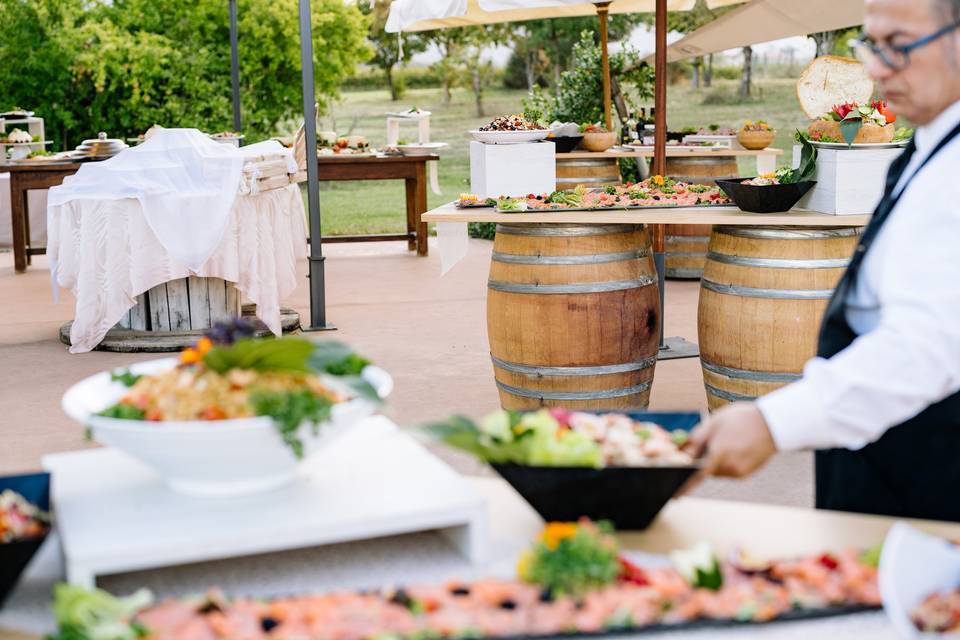 The garden and our food