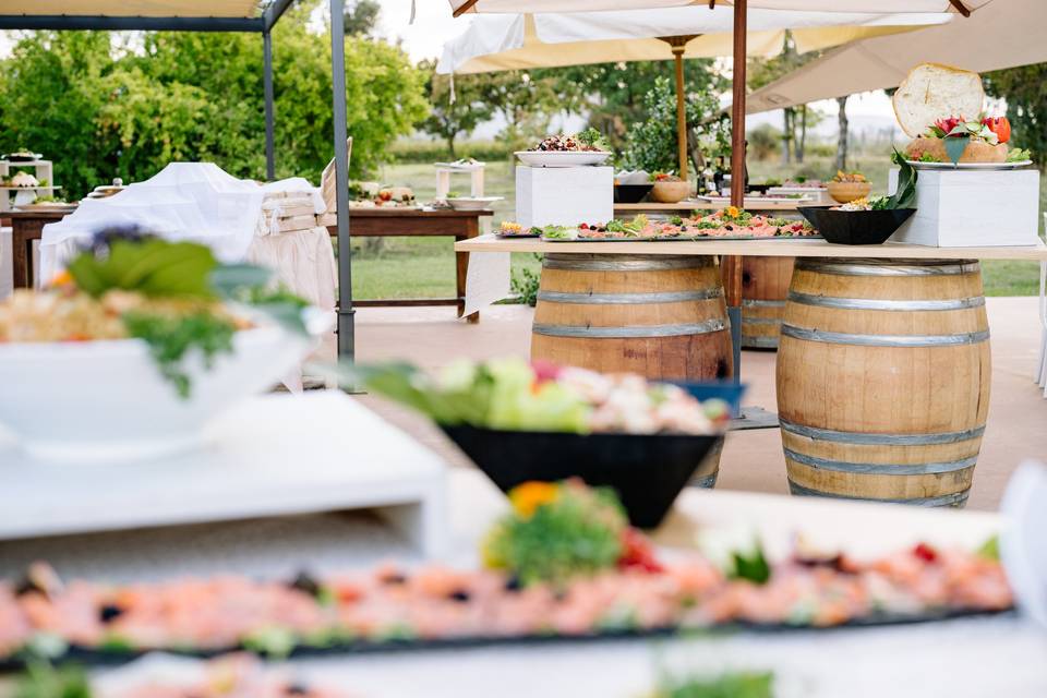 The garden and our food