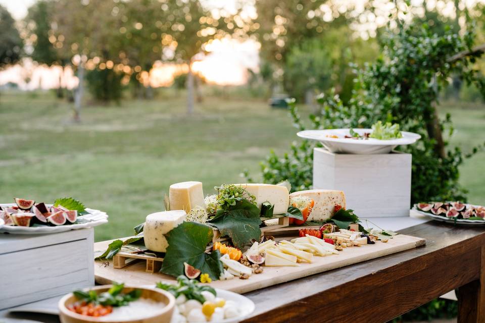 The garden and our food