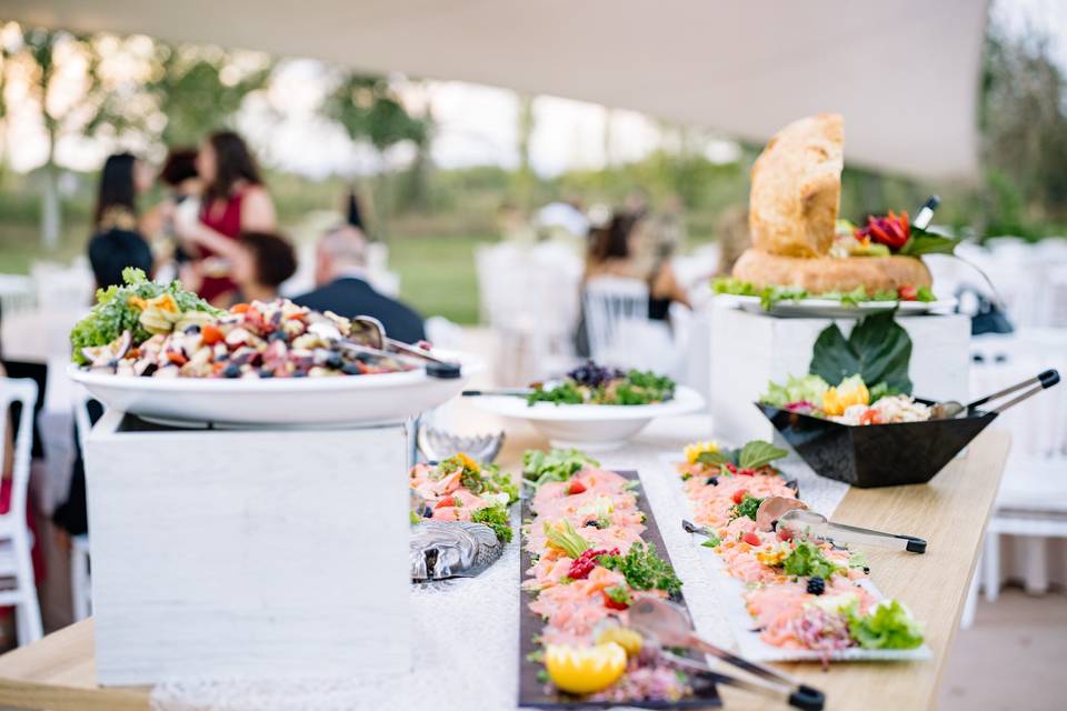 The garden and our food