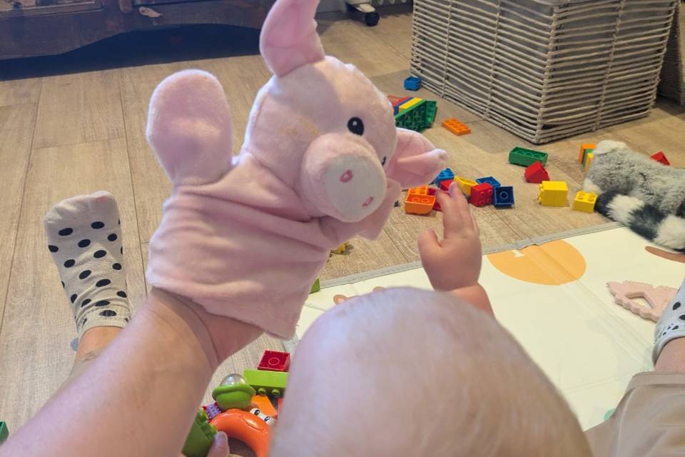 Piggy puppet🐖