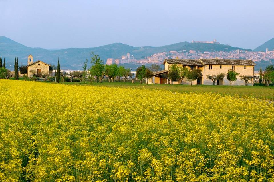 Vale di Assisi