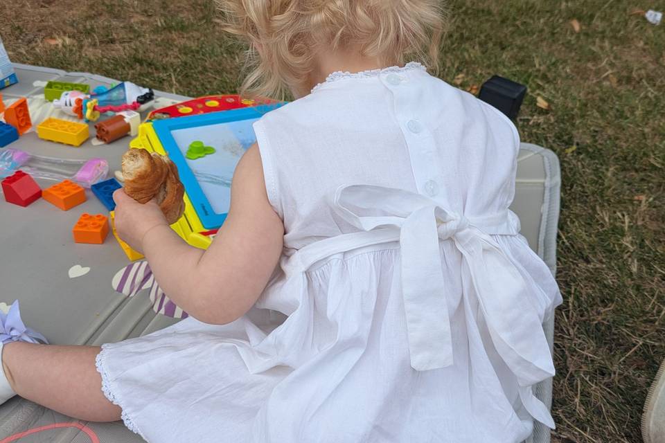 Picnic and Play