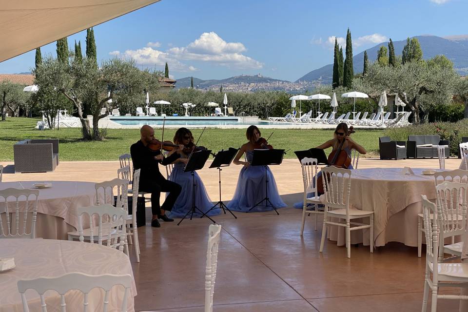 Wedding moments by the pool