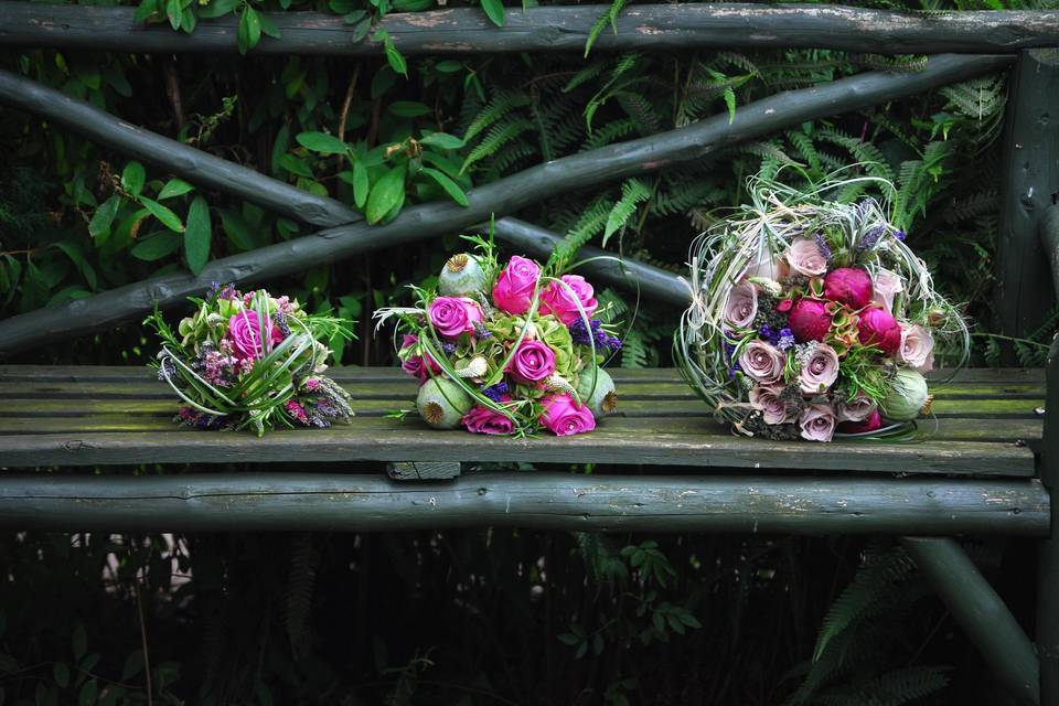 Iris & Thyme