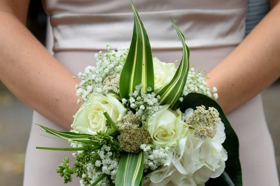 Hydrangea & grasses