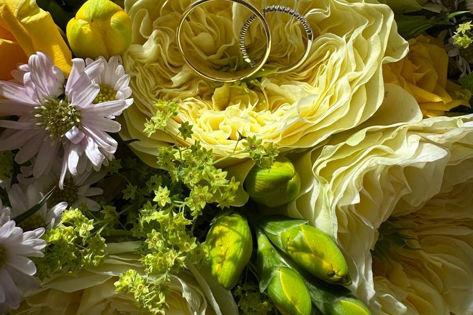 Christchurch Wedding