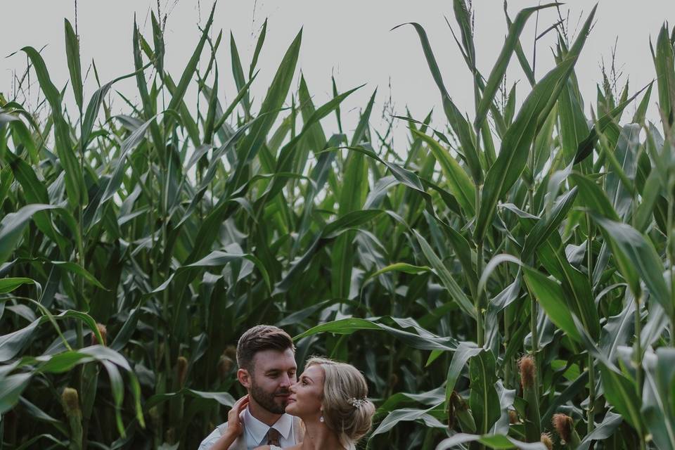 Cornfields couple portrait