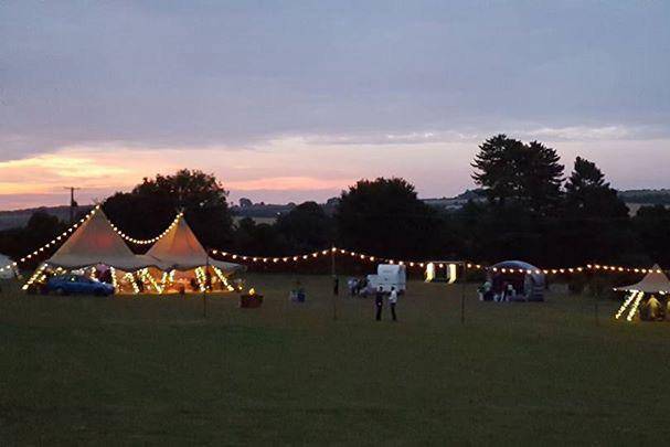 Evening in the meadow