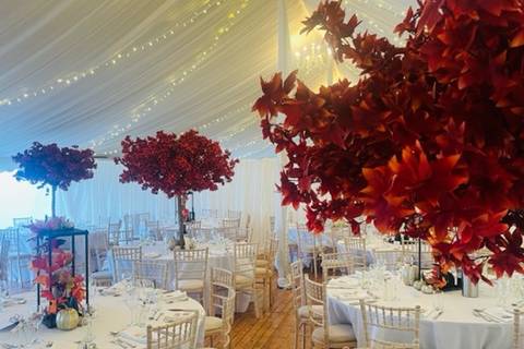 Lavish marquee weddings