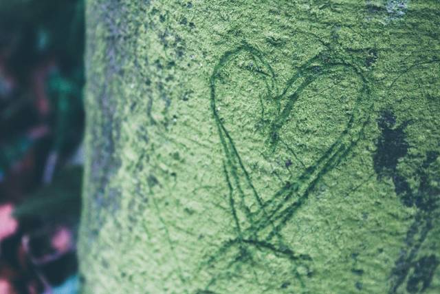 Love is in the air