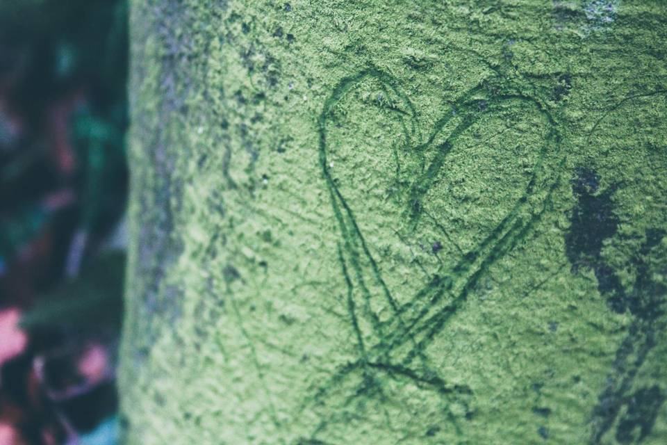 Love is in the air